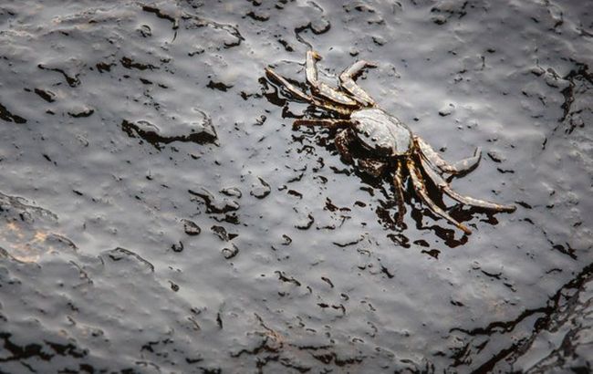 Утечка нефти в Калифорнии: следователи назвали причину