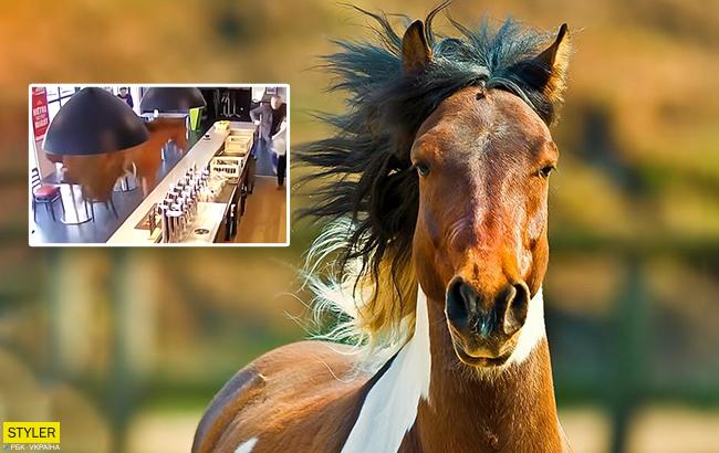 Внезапно: во Франции в кафе забежал конь