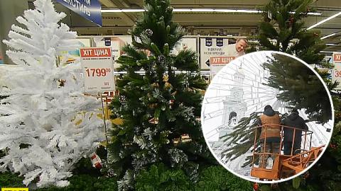 Искусственная или живая: какую елку выбрать на Новый год 2019