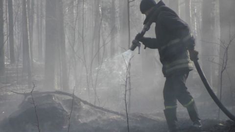 Спасатели продолжают ликвидацию пожаров в Киевской и Житомирской области