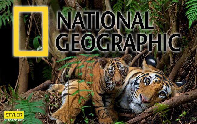 National Geographic выбрал лучшие фотографии 2017 года