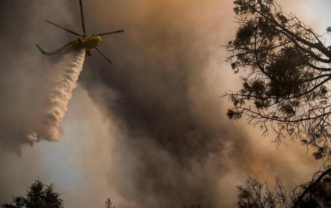 Огнем и брандспойтом: борьба с лесными пожарами в Калифорнии