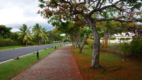 "Омикрон" не помеха: Фиджи впервые открыла границы для туристов с марта 2020 года