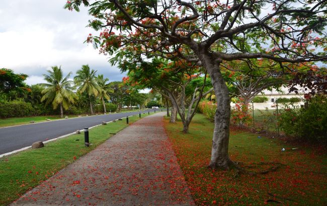 "Омікрон" не завада: Фіджі вперше відкрила кордони для туристів з березня 2020 року