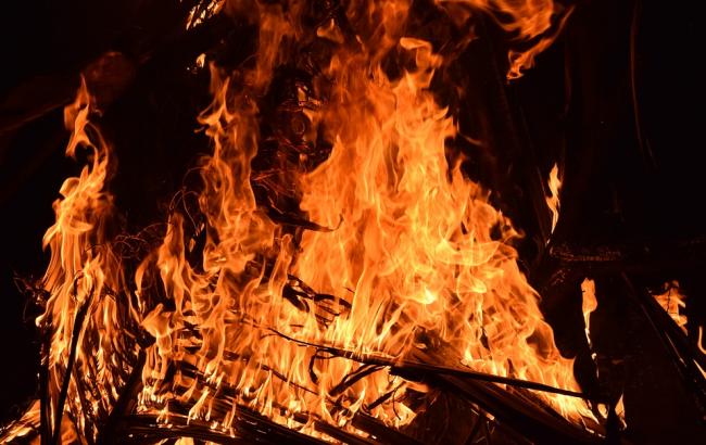 В квартире Ивано-Франковска заживо сгорело 20 животных