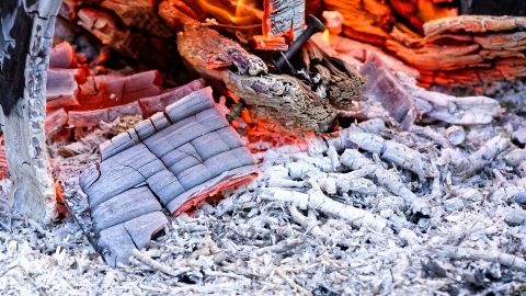 Это мощное и недорогое удобрение очень нужно деревьям и кустам именно зимой