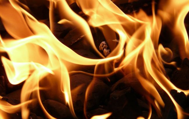 Москва не спешит тушить пожары в Сибири: Кремль пытается замолчать масштабную экокатастрофу