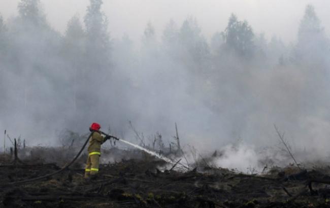 У Бурятії лісові пожежі охопили чверть території