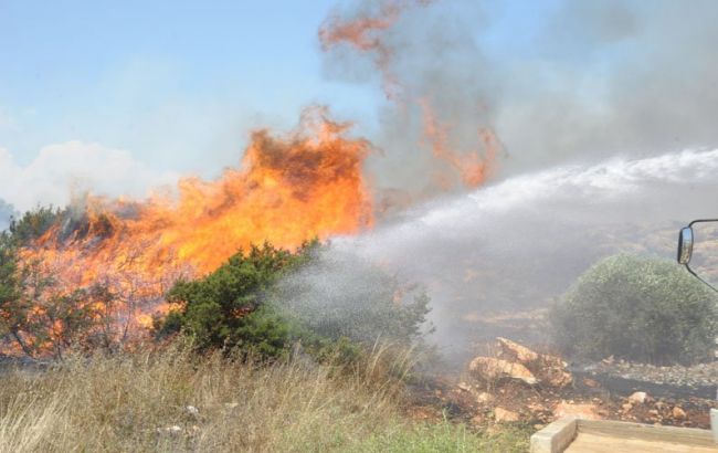 На Кіпрі в двох районах виникли неконтрольовані лісові пожежі