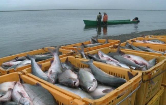 Вылов рыбы в водоемах Украины за 10 месяцев вырос на 17,2%
