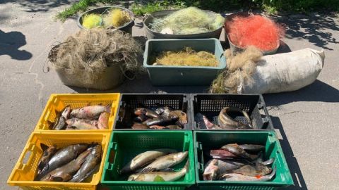 У Києві браконьєри продавали на ринках рибу з Чорнобильської зони