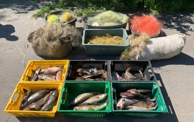 В Киеве браконьеры продавали на рынках рыбу из Чернобыльской зоны