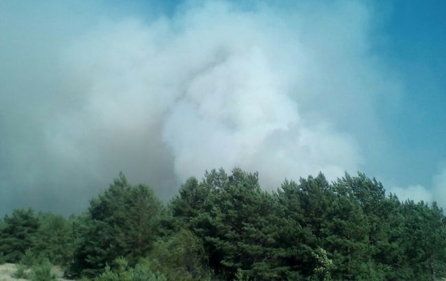 Спасатели до сих пор ликвидируют пожар на Гончаровском полигоне
