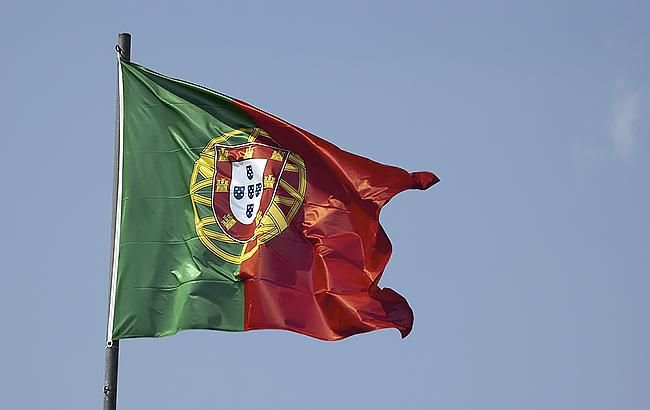 Количество жертв падения дерева в Португалии увеличилось до 13