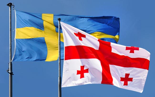 Швеція і Грузія обговорять питання зловживання безвізом