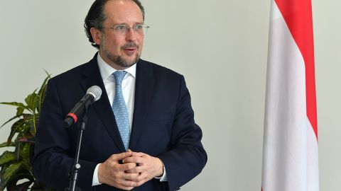 Глава МЗС Австрії відкинув запрошення Лаврова в окупований Крим