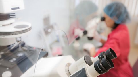 Совершенно новый штамм: главные факты о коронавирусе