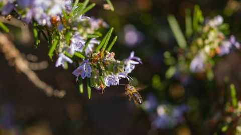 В Украине потеплеет до +16: прогноз погоды на завтра