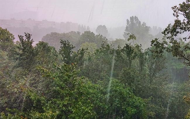 "Суцільні дощі": синоптик уточнив прогноз погоди на середу (відео)