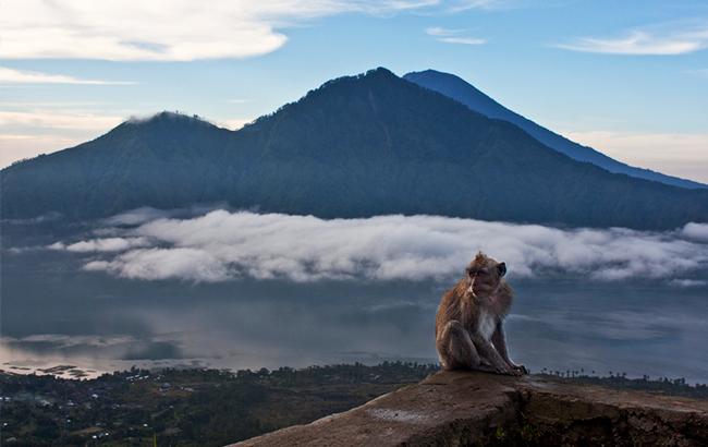 В Индонезии из-за извержения вулкана аэропорт закрыли еще на сутки