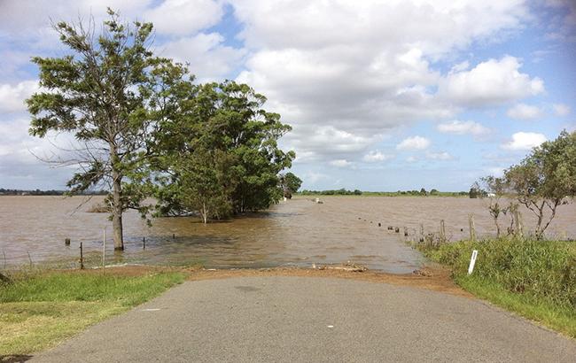 ГСЧС предупреждает о подъеме воды в реках Ивано-Франковской области и Закарпатья 7 июля