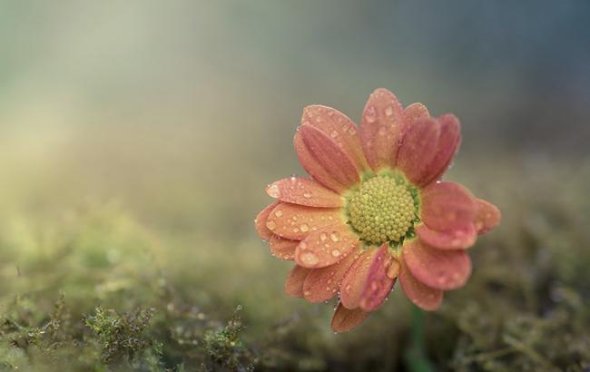 Синоптик прогнозирует существенное похолодание в Украине