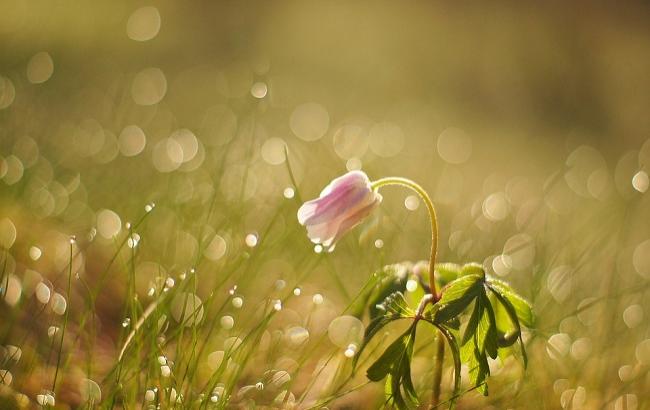 25 марта: важные события в истории