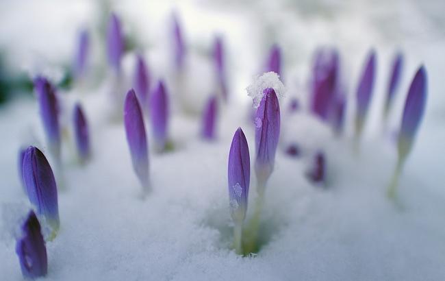 Какой будет весна 2018 в Украине