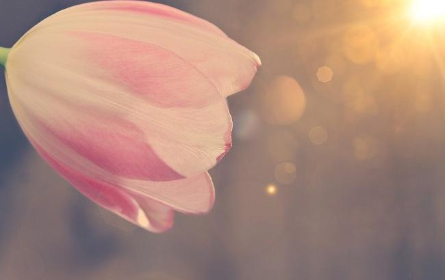 Праздники 14 марта: как в этот день предсказывали погоду на весну и лето