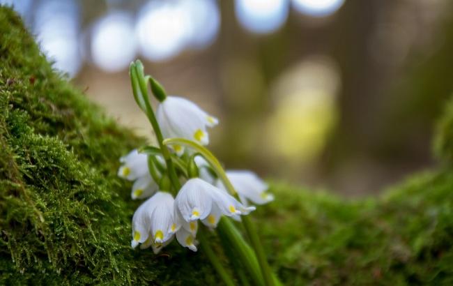 19 апреля: праздники и важные события на этот день