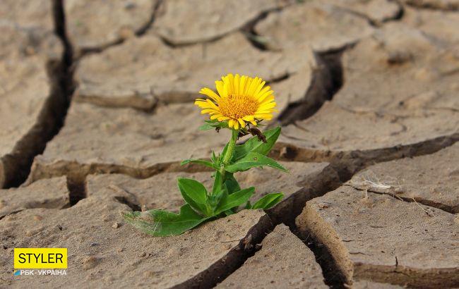 В Україну йде антициклон David: як зміниться погода й коли повернеться спека