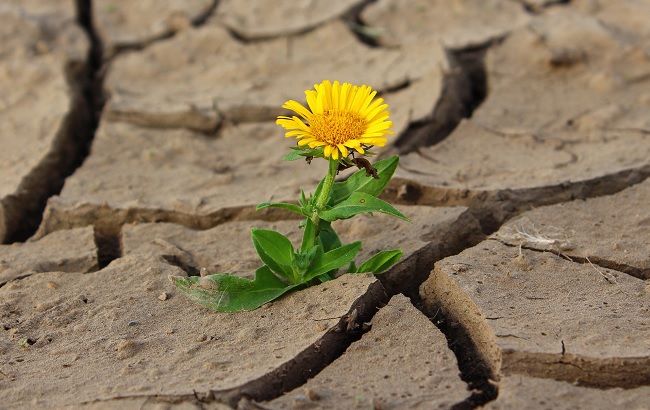 Крым превратится в пустыню: появился тревожный прогноз