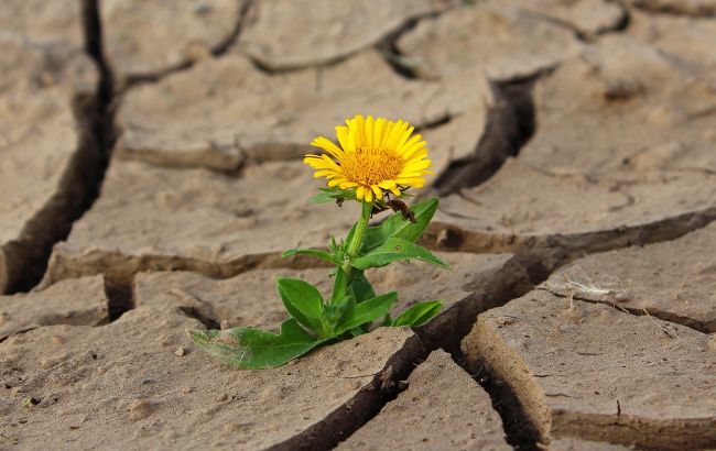 Украину снова раскалит жарой: названа дата