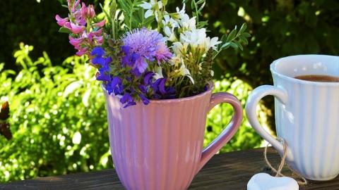 3 липня: свята і важливі події на цей день