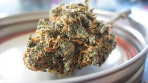 Супрун развеяла мифы о медицинском каннабисе