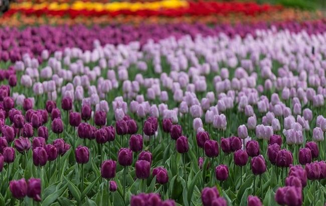 Весна наступает: синоптики рассказали, где будет хорошая погода