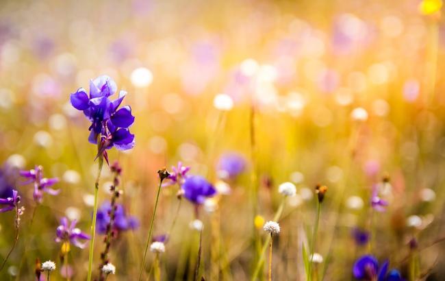 По всей стране – без осадков: синоптики уточнили прогноз на среду