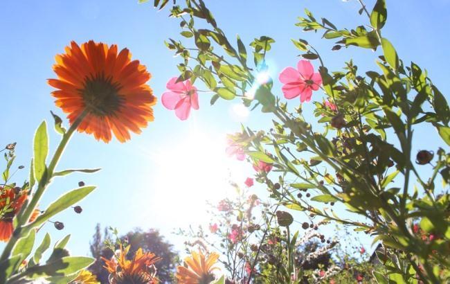 "Июль бежит": синоптик дала прогноз на 6 июля