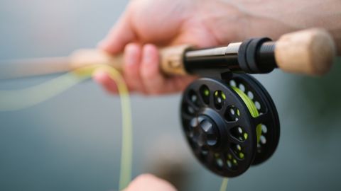 В Днепре рыбак поймал гигантского сома: впечатляющее фото