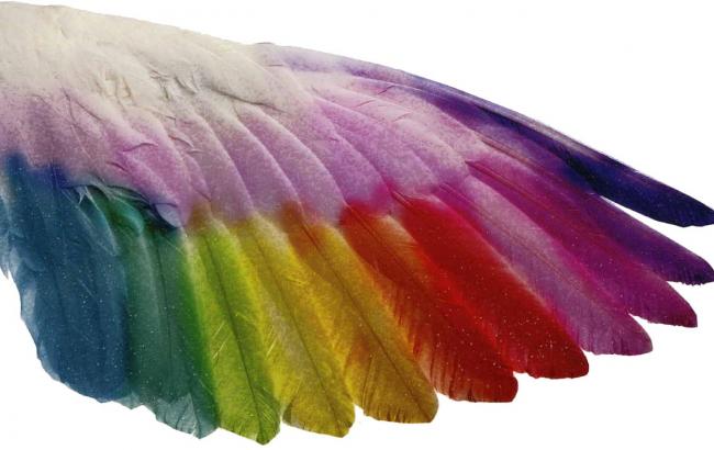 Чернила для струйных принтеров: сочетание цены и качества