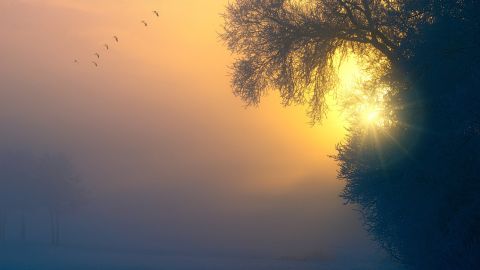 Названы главные неудачники среди знаков Зодиака, для которых 2022 год станет "черной полосой"