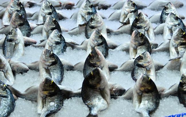 Известная сеть супермаркетов прокомментировала инцидент с тухлой рыбой в Одессе