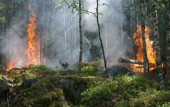 Третій день не можуть загасити: у мережі з'явилися нові кадри пожежі в Ялті