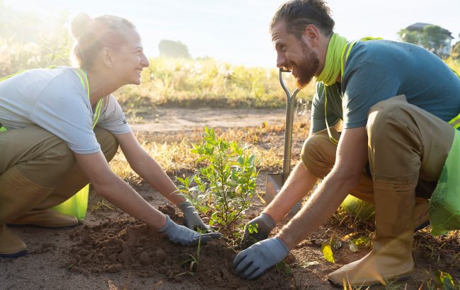 Прикрашаємо сад: які квіти можна посадити у травні