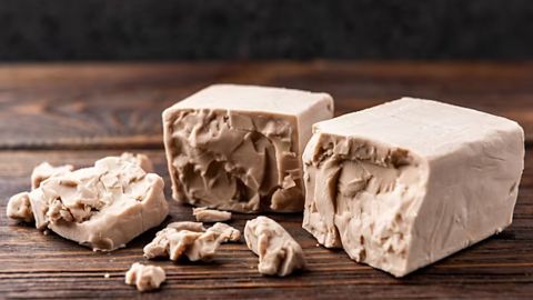 Гениальные идеи, как использовать дрожжи в быту: они годятся не только для выпечки