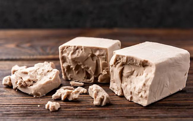 Геніальні ідеї, як використовувати дріжджі в побуті: вони годяться не тільки для випічки