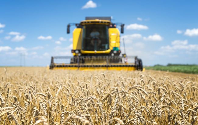 Рекордний урожай зернових: українцям пояснили, як зміняться ціни на продукцію