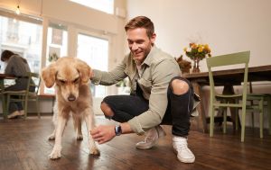 Хвіст виляє - не завжди радість: 10 сигналів собаки, які ви читаєте неправильно