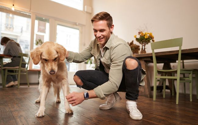 Хвост виляет - не всегда радость: 10 сигналов собаки, которые вы читаете неправильно