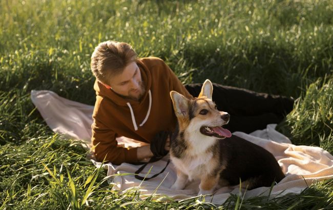Собаки могут предсказывать будущее: мистика, природный дар или все же есть научное объяснение?
